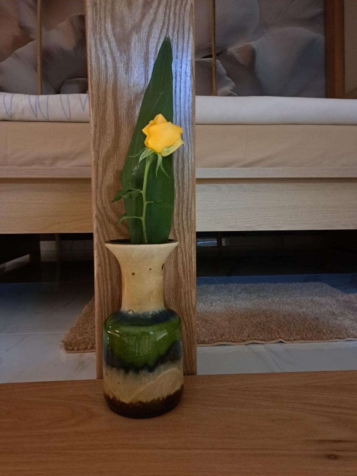 Apartman Barka Golubac Eksteriør billede